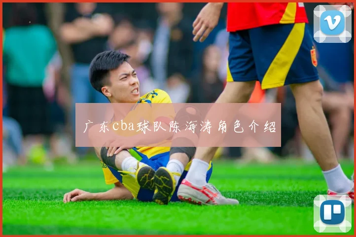 广东cba球队陈海涛角色介绍