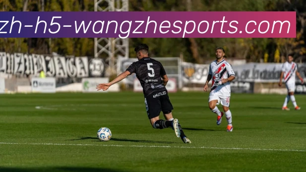 王者体育服务体系